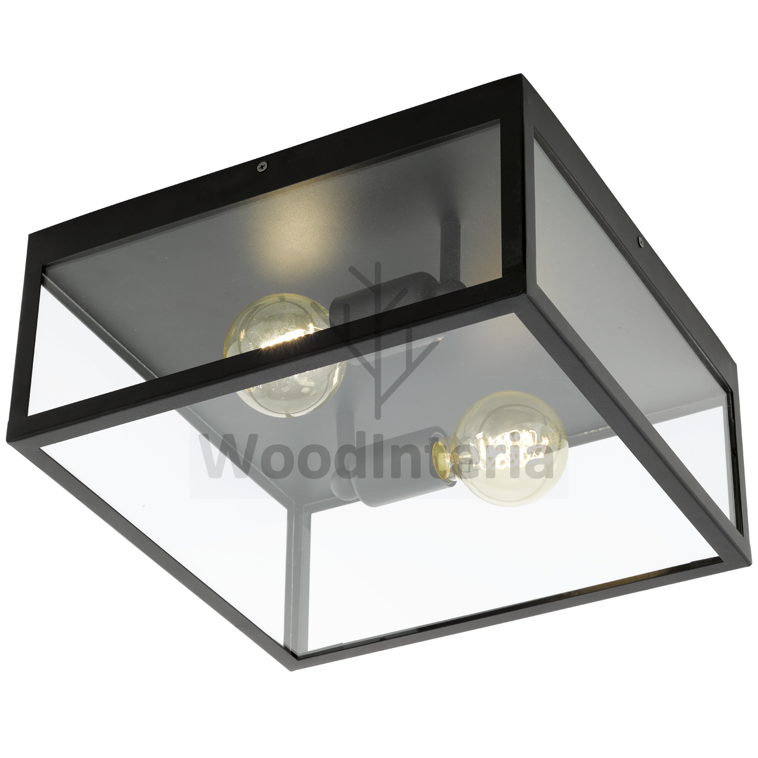 фото потолочный светильник transparent сube в скандинавском интерьере лофт эко | WoodInteria